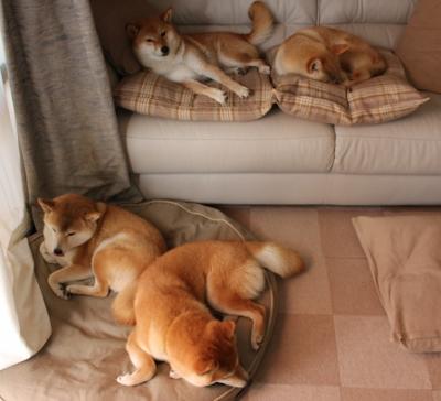 -欧冠半决赛焦点战，国际米兰闪电战术一波带走委内瑞拉劲旅