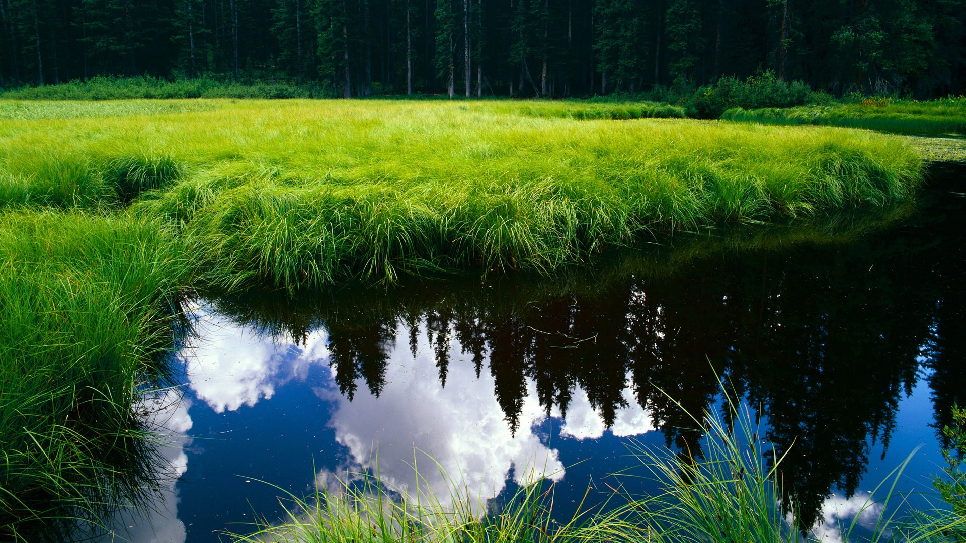 绿茵冲刺排位赛，加克波在安菲尔德之夜引擎全开