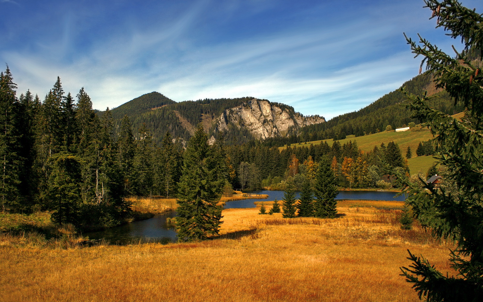 开云下载-钢铁巨塔，欧冠决赛之夜，皮克在万吨压力下的完美爆发